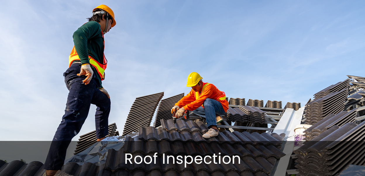 roof inspection
